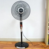Quạt đứng TS951