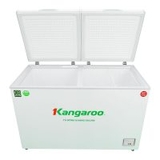 Tủ đông kháng khuẩn 252 lít KG252C2N