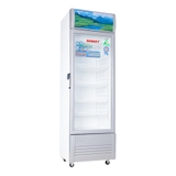Tủ mát Sanaky 240 lít VH-308K3L