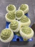 Na Đài Loan