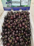 Cherry Úc Kordia