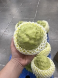 Na Đài Loan