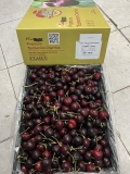 Cherry Úc Tasmanian