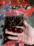 Cherry Chile Kordia