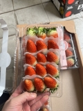 Dâu tây Hàn Quốc
