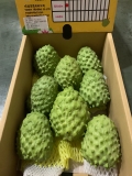 Na Đài Loan