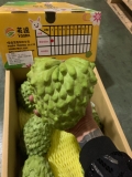 Na Đài Loan