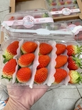 Dâu tây Hàn Quốc