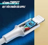 Cáp sạc điện thoại USB-C sang Lightning 1M(10493)