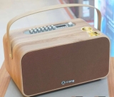 Loa Karaoke Arirang MB2cw