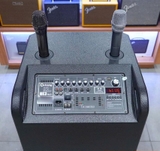 Loa kéo Arirang MK3 Max