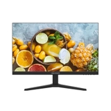 MÀN HÌNH HIKVISION DS-D5024FN10 (23.8 INCH/FHD/VA/75HZ/5MS)
