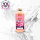 Gội xả tinh chất hoa hồng Biotin Raislave Luxury Rose Oil 2000ml