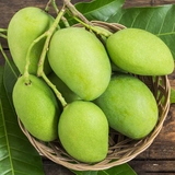 Xoài xanh chua (kg)