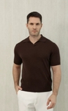 Áo polo LORO PIANA cộc 5 màu