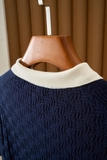 Áo polo BRIONI cổ cải màu