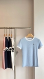 Áo LACOSTE cộc viền cổ 5 màu