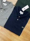 Polo LACOSTE thoáng khí 4 màu