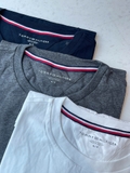 Tshirt TOMMY cotton 3 màu