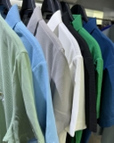 Polo Hazzy 7 màu