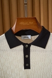 Áo polo BRIONI cổ cải màu