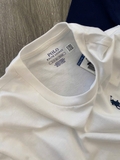tshirt Polo RALPH LAUREN trơn