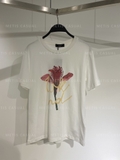 Tshirt MAX MARA họa tiết