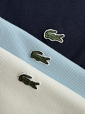 Áo LACOSTE cộc viền cổ 5 màu