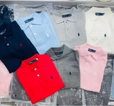 Áo polo RALPH LAUREN 7 màu
