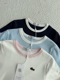 Áo LACOSTE cộc viền cổ 5 màu