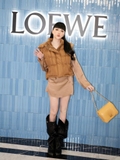 Túi Loewe Goya Puffer