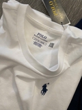 tshirt Polo RALPH LAUREN trơn