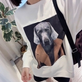 Hoodie MAX MARA dog