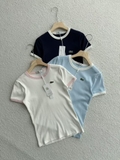 Áo LACOSTE cộc viền cổ 5 màu