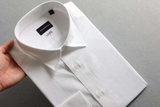 Sơ mi ZEGNA trơn 2 màu