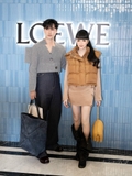 Túi Loewe Goya Puffer