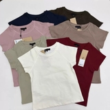 Tshirt MASSIMO DUTTI trơn 6 màu