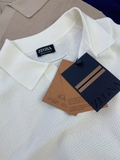 Polo ZEGNA premium cotton 3 màu