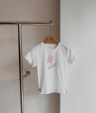 Tshirt Skims 3 màu hoạ tiết