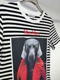 Tshirt MAX MARA kẻ ngang họa tiết