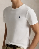 Tshirt RALPH LAUREN 4 màu trơn