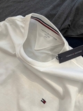 Tshirt TOMMY cotton 3 màu