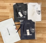 Polo LACOSTE logo thêu chữ