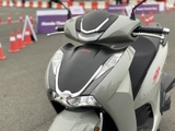 H-175 Xám xi măng ánh vàng (Honda SH 350I)