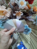 Màu pha sẵn ( màu phủ ô tô)