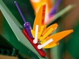 Lego Bird of Paradise 10289