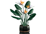 Lego Bird of Paradise 10289