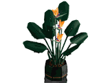 Lego Bird of Paradise 10289