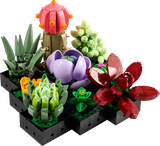 LEGO Botanical Succulents 10309