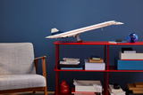 LEGO Concorde 10318